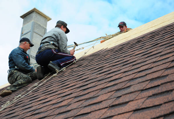 Best Roof Leak Repair  in Hustisford, WI